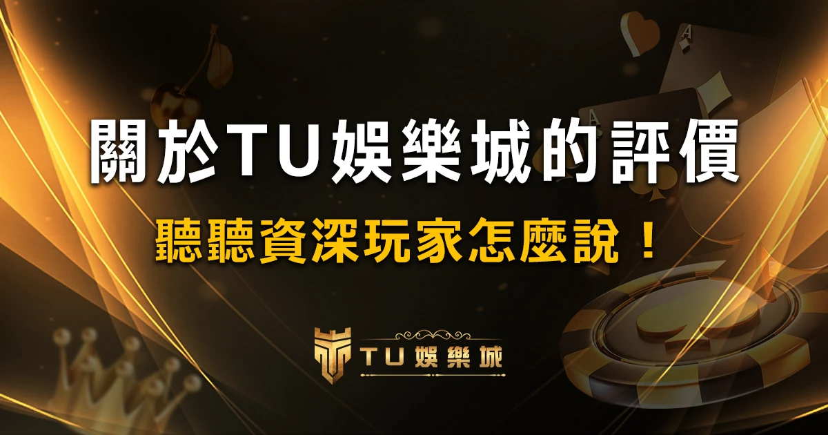 /article-privacy-policy-tuvip.html